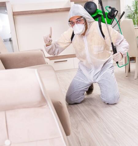 Pest Control Oakville