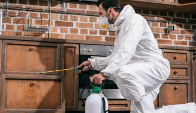 pest control Brampton