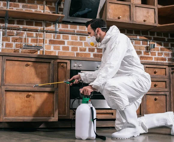 pest control Brampton