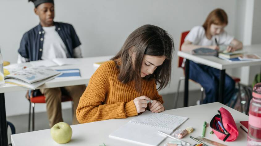 professional svqs assignment help