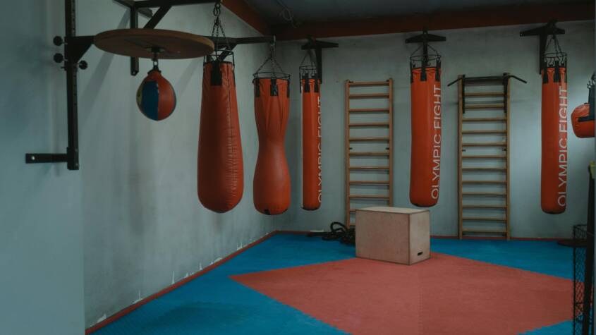 Best Boxing Gloves for Training, Sparring, and Competition