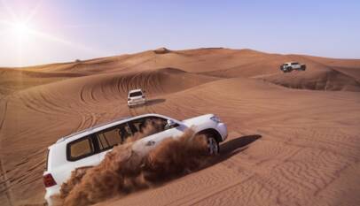 vip morning desert safari