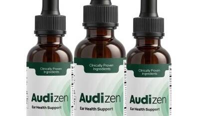 Audizen Review
