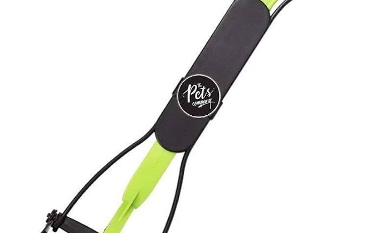 Beyond the Backyard Chore: The Complete Guide to Modern Pet Waste Management and Finding the Best Pooper Scooper