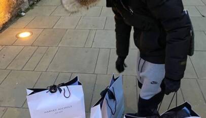 The official website is a great paragooseofficial