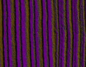 Nautical Pattern Upholstery Fabric