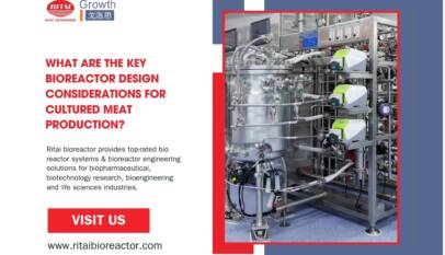 What Are the Key Bioreactor Design Considerations for Cultured Meat Production?
