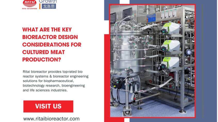 What Are the Key Bioreactor Design Considerations for Cultured Meat Production?