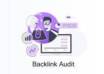 professional backlink audit service