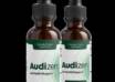 Audizen