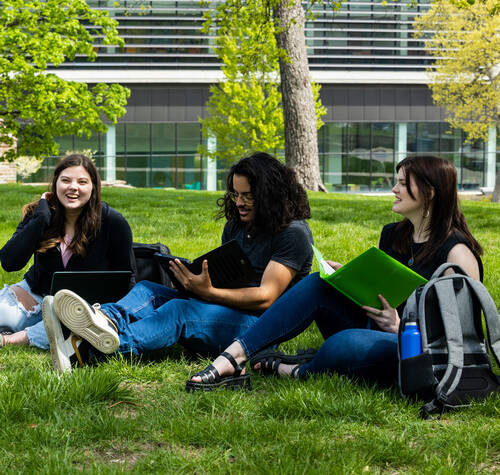 book review writing service