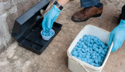 mice control in Tampa, FL