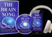 the brain song