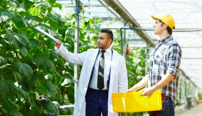 haccp online training